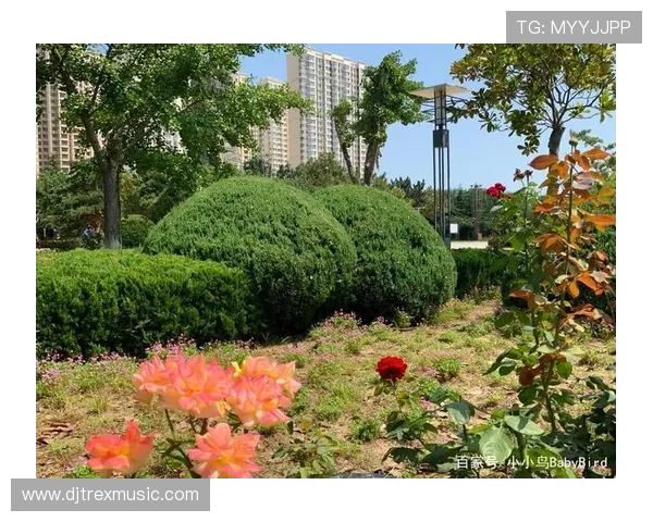 乐天体育公园：城市休闲娱乐的理想场所，体验运动与自然的完美结合